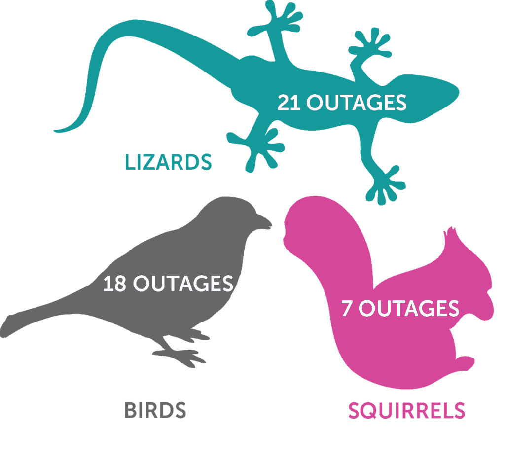 wildlife outage infographic