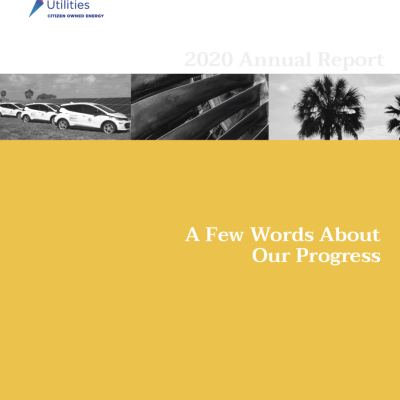 Annual report cover