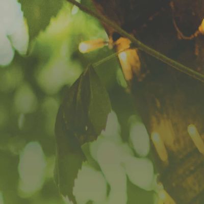 COE-Feature_art_July_fact_sheet_2021